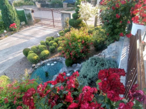 Apartment Vila MM Srce, Vrdnik